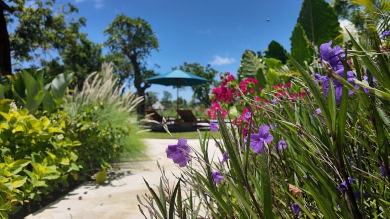 Low angle view along the garden path at The Mahaloka, focusing on purple and pink flowers with the pool area blurred beyond.