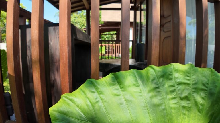 Artistic view through a large green leaf towards the wooden deck workstation area of The Mahaloka lumbung villa.