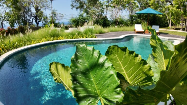 Close-up view over large green tropical leaves towards the turquoise water of The Mahaloka's shared pool and deck chairs.