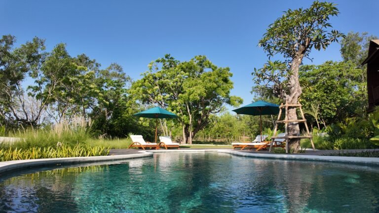Low angle view across the turquoise shared pool at The Mahaloka, showing sun loungers, umbrellas, and mature trees.